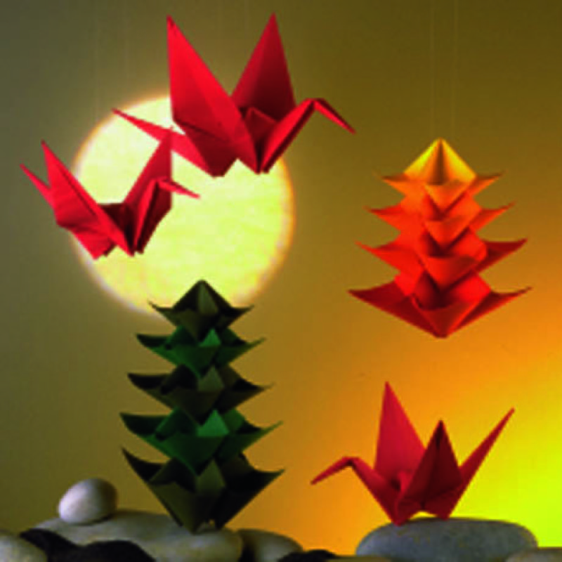Origami: Basic Concepts | Canson®