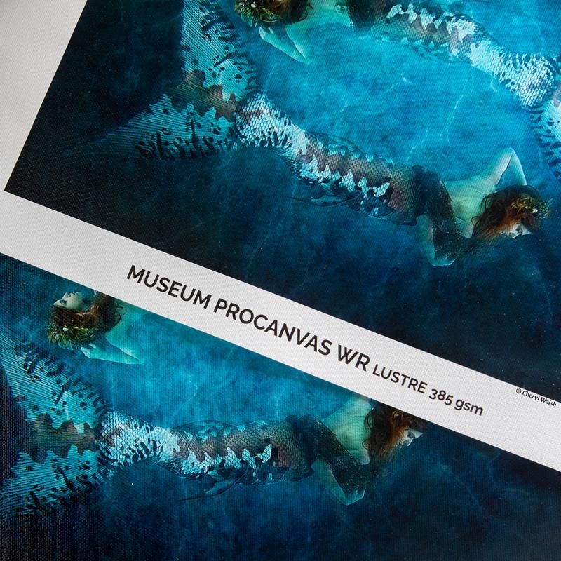 Museum Procanvas Water resistant | Canson