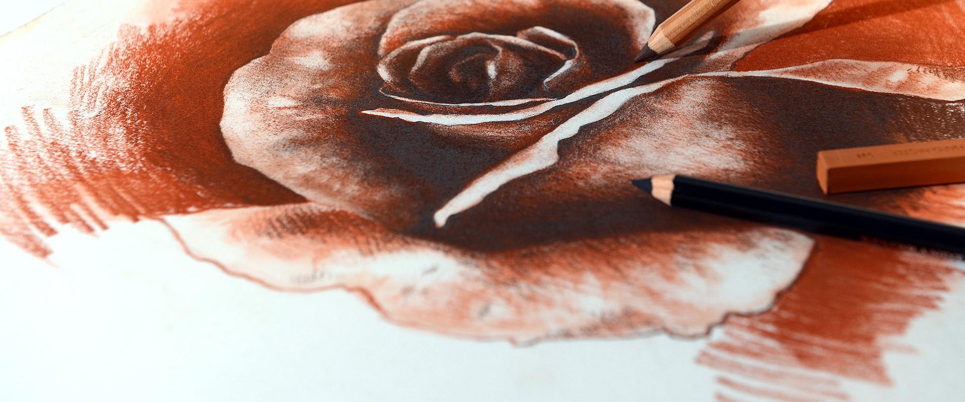 A rose drawing | A rose drawing. Pencil on paper. More: www.… | Flickr