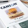 canson c a grain paper 224 gsm A4 SIZE PSC OF 10 3 "C" à grain® 180 g/m²
