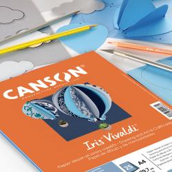 Canson Colorline Paper 19.5x25.5 300gsm Light Gray
